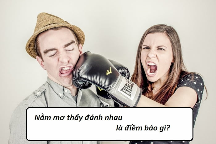 Mơ thấy đánh nhau đánh con gì? Giải mã giấc mơ đánh nhau