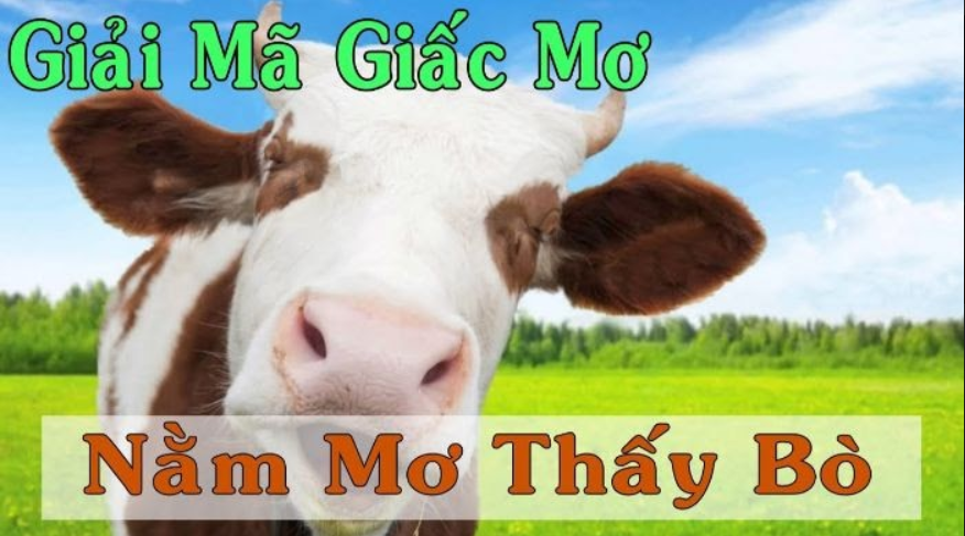 Giải mã giấc mơ thấy con bò chi tiết nhất