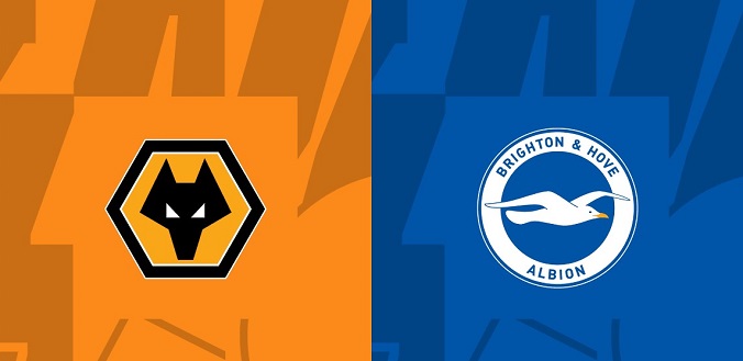 Nhận định - Soi kèo bóng đá Wolves vs Brighton hôm nay, 2h45 ngày 29/2