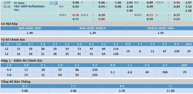 nhan-dinh-soi-keo-bong-da-cologne-vs-hoffenheim-hom-nay-02h30-ngay-9-11-3