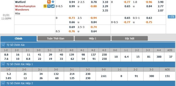 nhan-dinh-soi-keo-bong-da-watford-vs-wolves-hom-nay-22h00-ngay-01-01-3