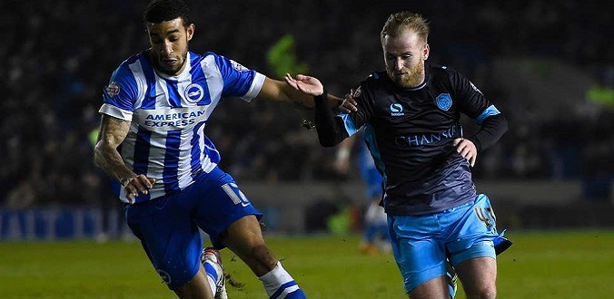 nhan-dinh-soi-keo-bong-da-brighton-vs-sheffield-wed-hom-nay-22h01-ngay-4-1-1