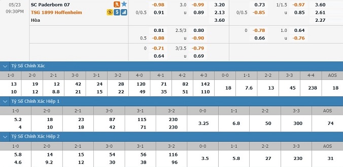 nhan-dinh-soi-keo-bong-da-paderborn-vs-hoffenheim-hom-nay-20h30-ngay-23-5-3