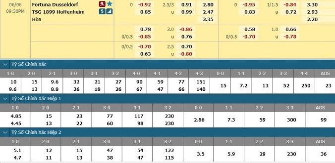 nhan-dinh-soi-keo-bong-da-dusseldorf-vs-hoffenheim-hom-nay-20h30-ngay-6-6-3