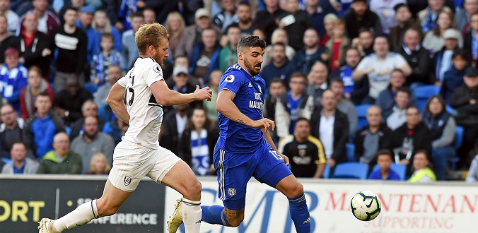 nhan-dinh-soi-keo-bong-da-cardiff-vs-fulham-hom-nay-01h45-ngay-28-7-1